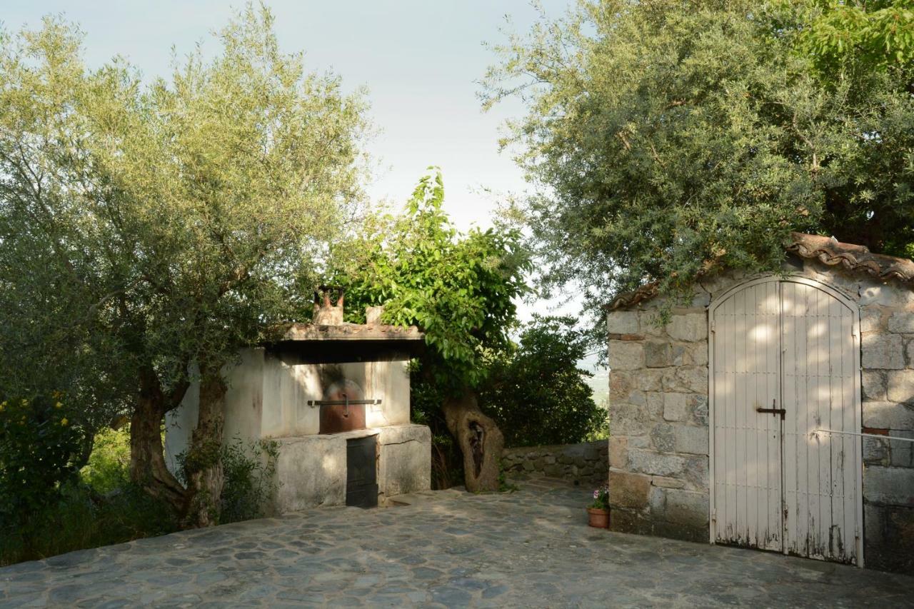 Mistra Estates Villa The Vine Pikouliánika Dış mekan fotoğraf