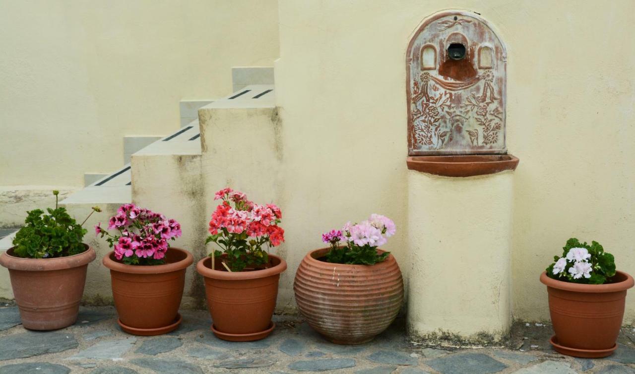 Mistra Estates Villa The Vine Pikouliánika Dış mekan fotoğraf